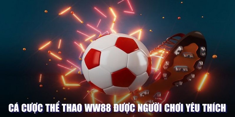 Cá cược thể thao WW88 được người chơi yêu thích